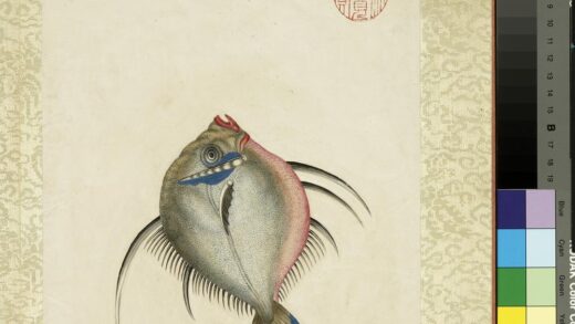 海怪图记册 怪鱼一.jpg