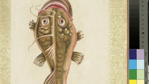 海怪图记册 怪鱼三.jpg