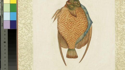 海怪图记册 怪鱼三十.jpg