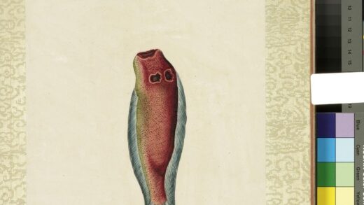 海怪图记册 怪鱼三十一.jpg