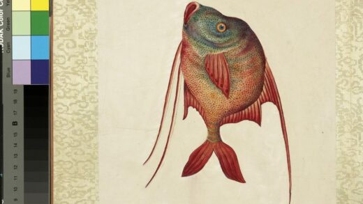 海怪图记册 怪鱼二.jpg