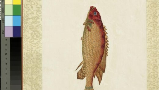 海怪图记册 怪鱼二十.jpg