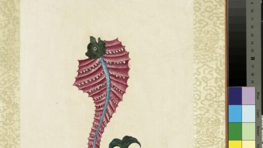 海怪图记册 怪鱼二十七.jpg