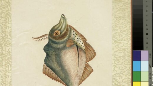 海怪图记册 怪鱼二十九.jpg