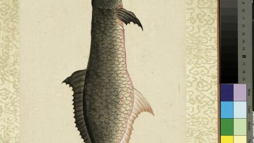 海怪图记册 怪鱼二十五.jpg