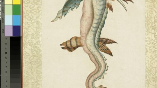 海怪图记册 怪鱼二十六.jpg