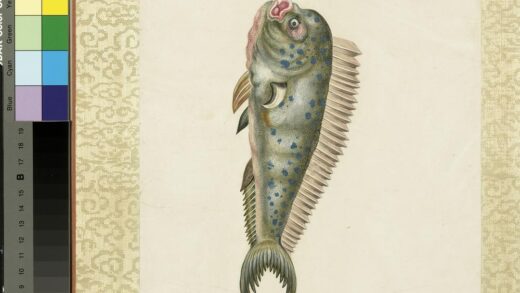 海怪图记册 怪鱼八.jpg