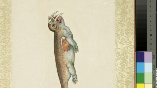 海怪图记册 怪鱼十九.jpg