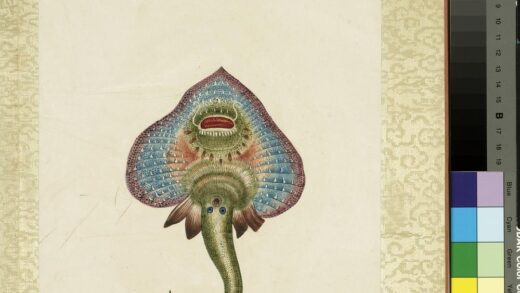 海怪图记册 怪鱼十五.jpg