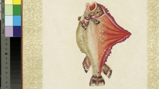 海怪图记册 怪鱼十八.jpg