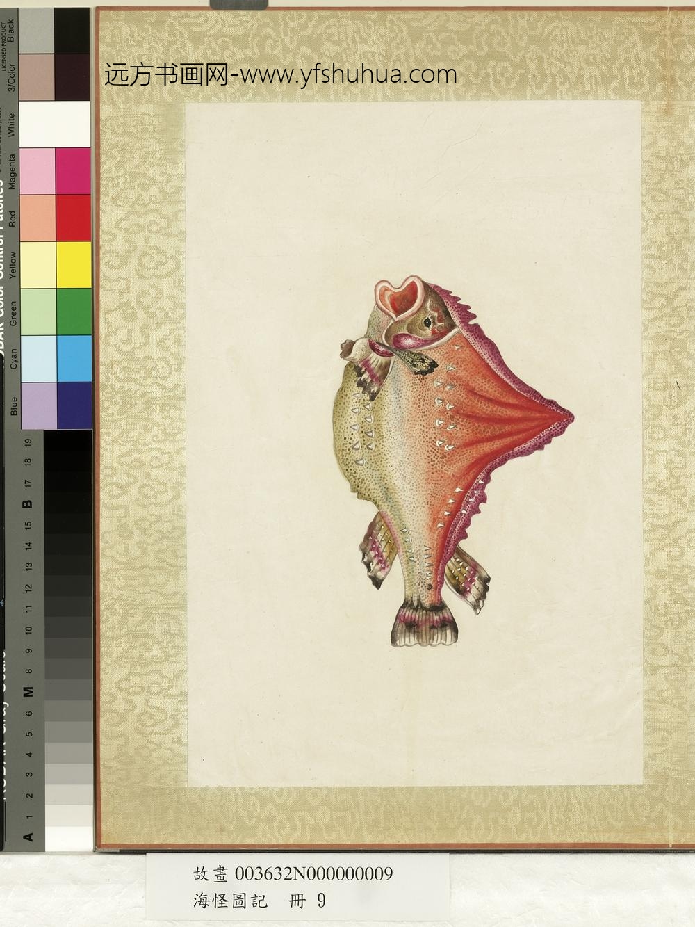 海怪图记册-怪鱼十八