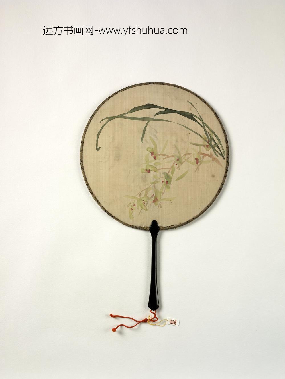 清人画兰花成扇-