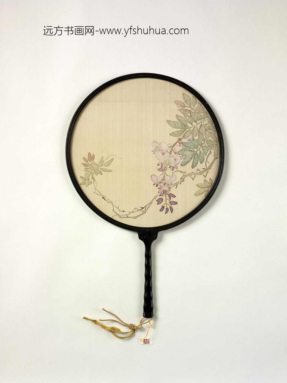 清人画紫藤成扇-