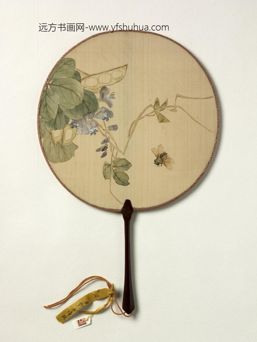 清人画草虫成扇-