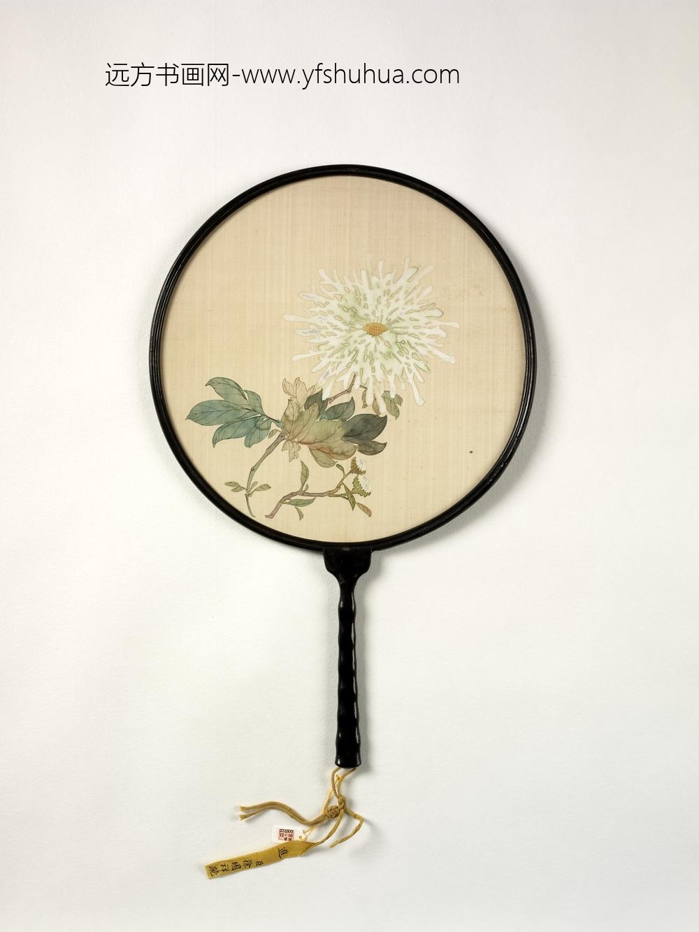 清人画菊成扇-