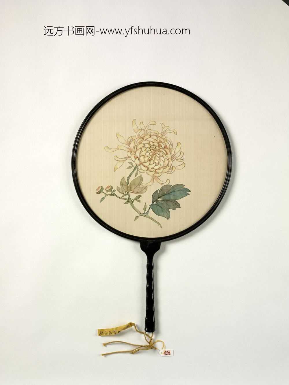 清人画菊成扇-