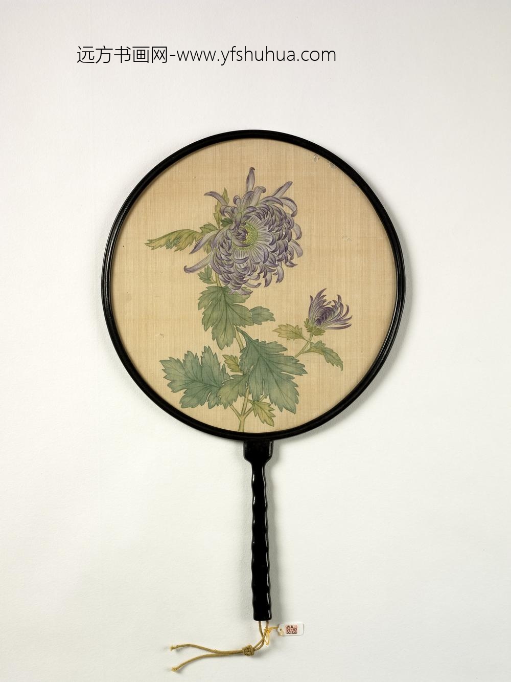 清人菊花成扇-