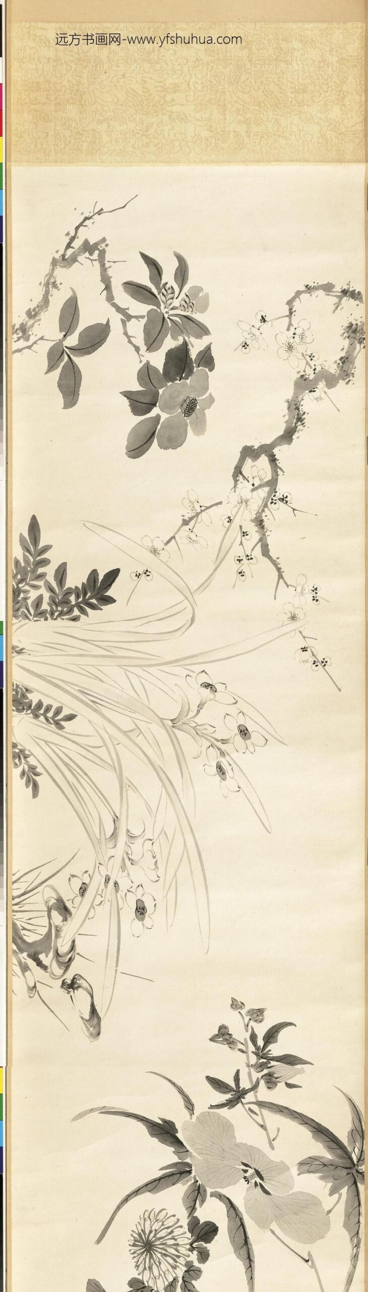 清张画画杂卉卷_