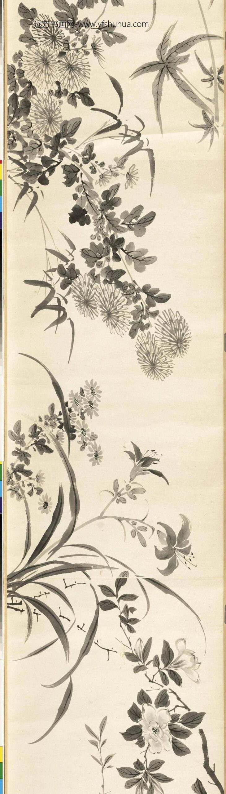 清张画画杂卉卷_