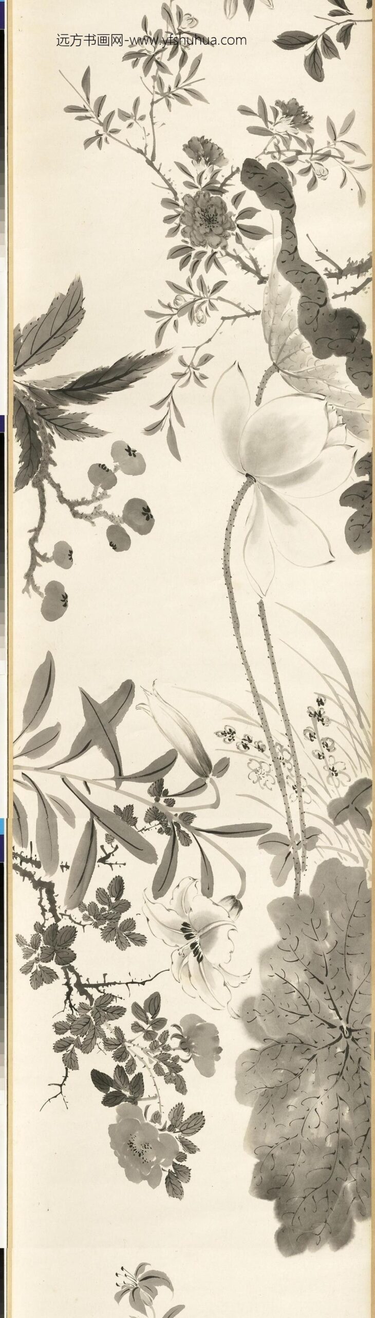 清张画画杂卉卷_