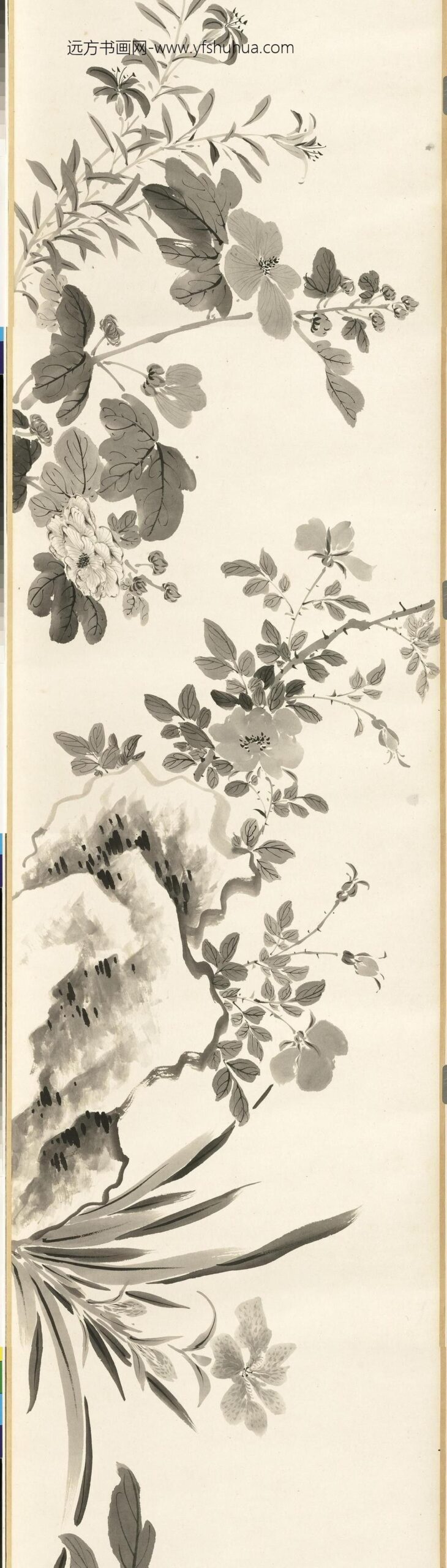 清张画画杂卉卷_