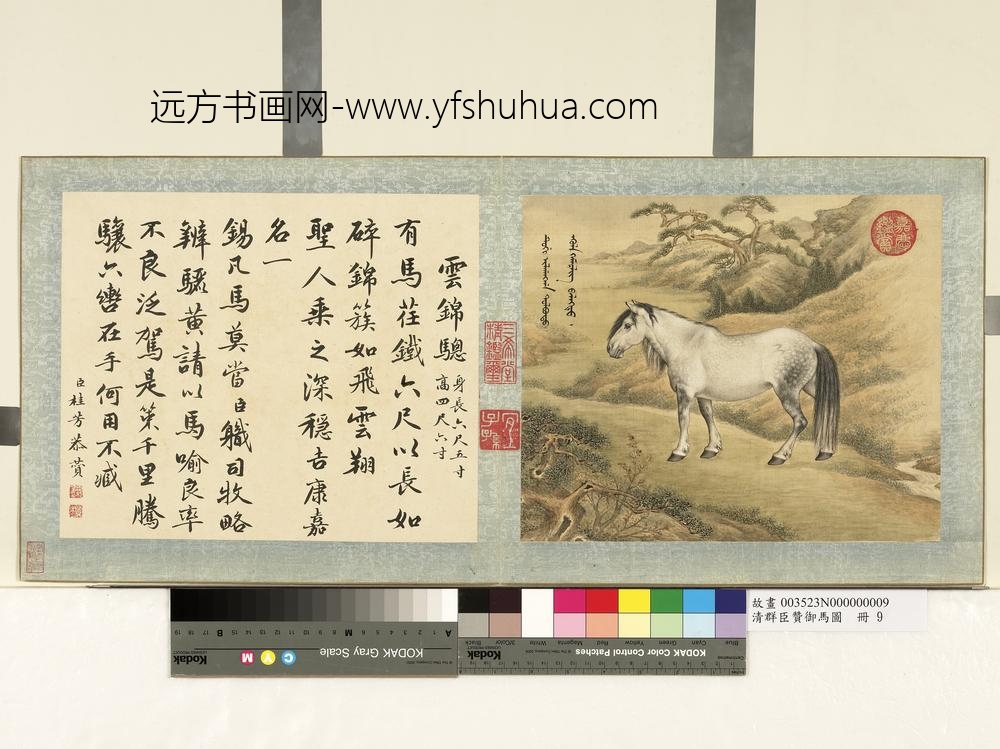 清群臣赞御马图册-清人云锦骢
