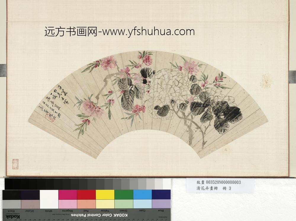 清花卉画册册-清人桃花绣球