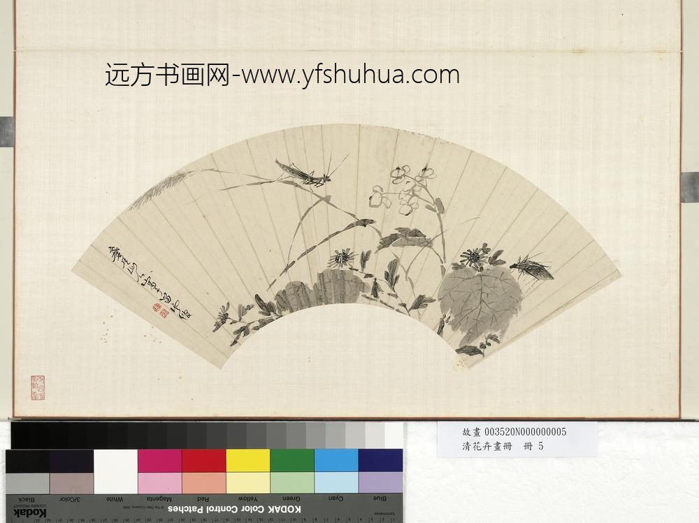 清花卉画册册-清人秋花