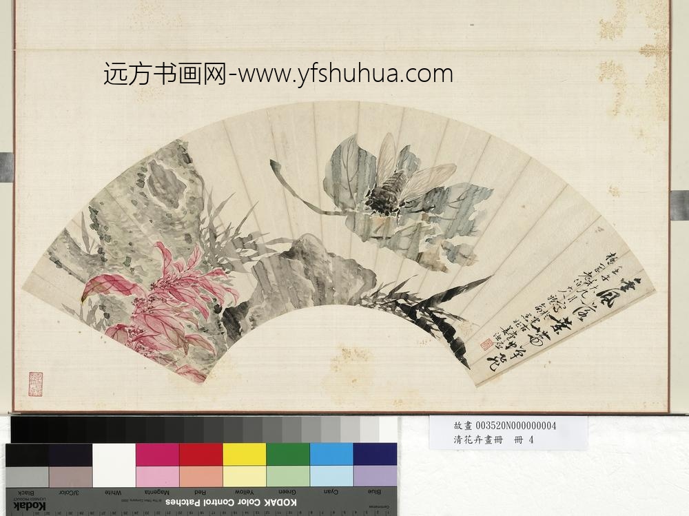 清花卉画册册-清姜渔雁来红