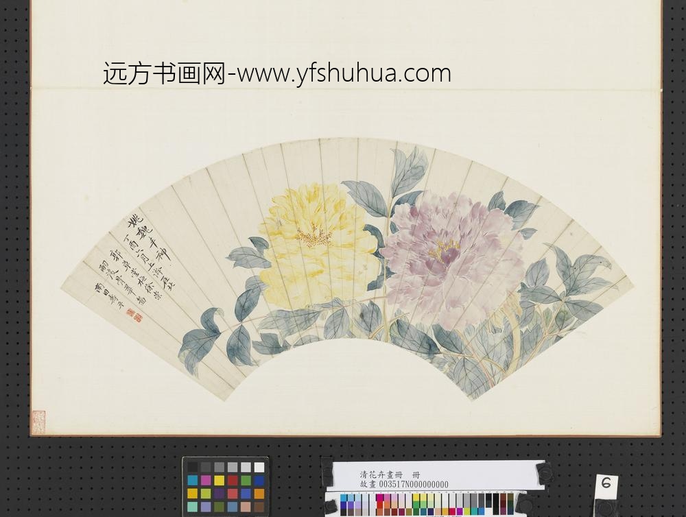 清花卉画册册-清恽寿平牡丹