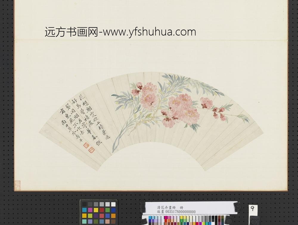 清花卉画册册-清恽寿平花卉-