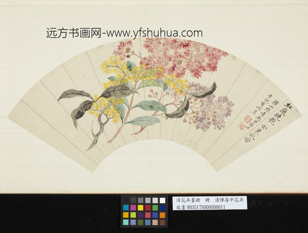 清花卉画册册-清恽寿平花卉-