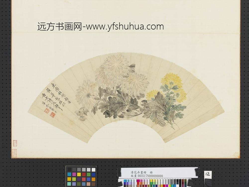 清花卉画册册-清恽寿平菊花