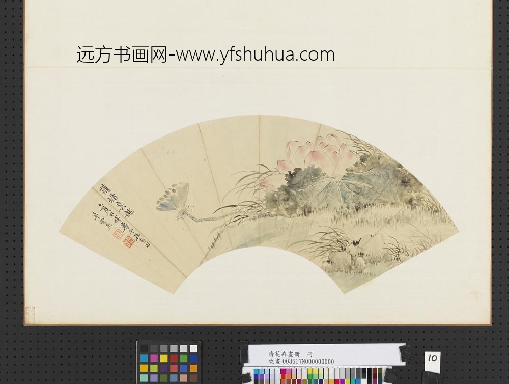 清花卉画册册-清恽寿平蒲塘真趣