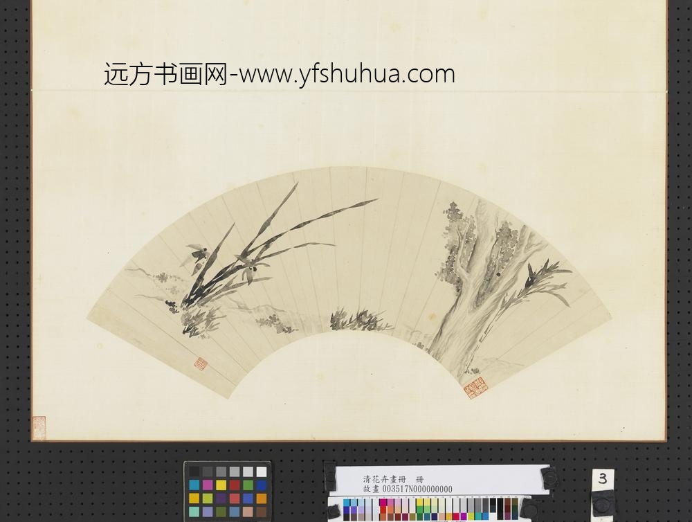 清花卉画册册-清永瑆柏树兰蕙