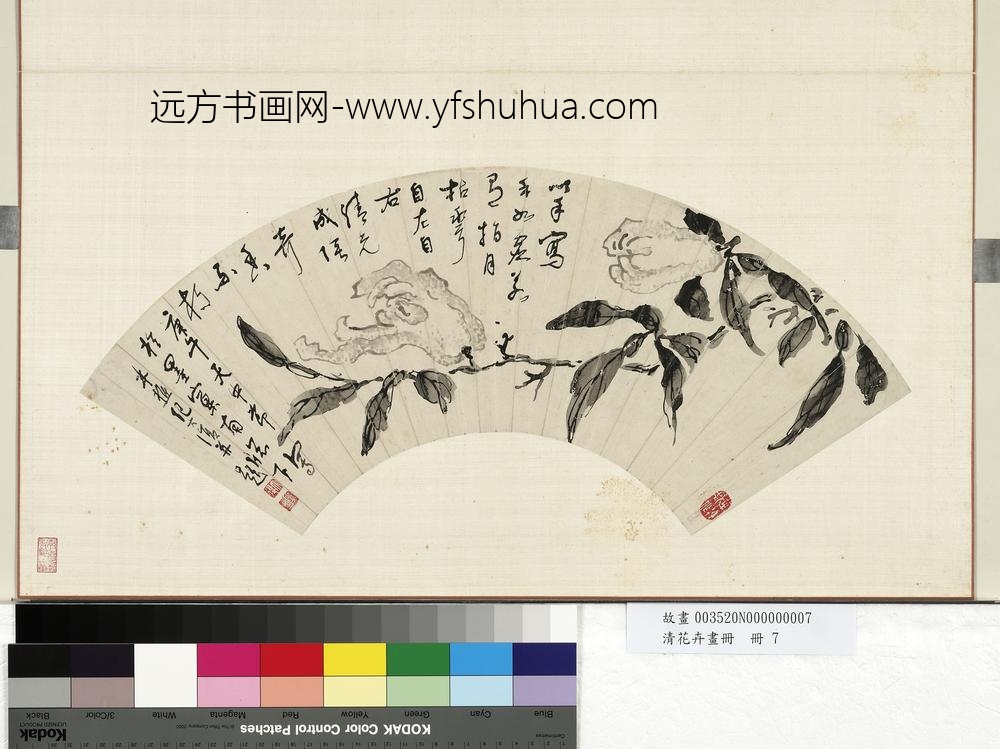 清花卉画册册-清纪大复佛手