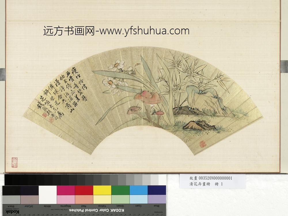 清花卉画册册-清钱聚朝水仙