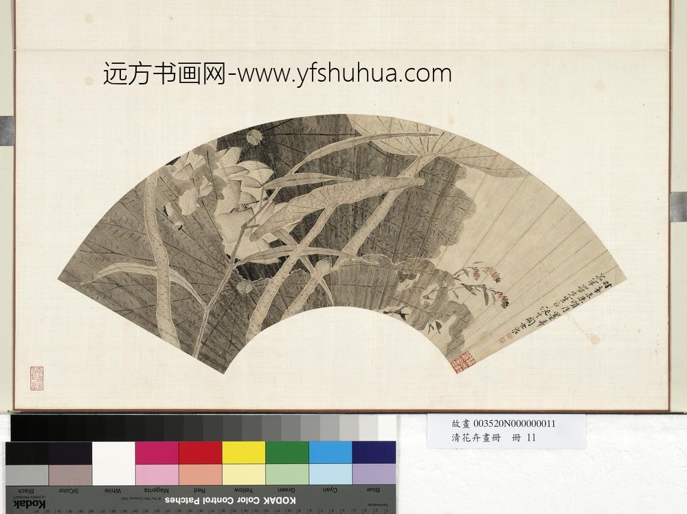 清花卉画册册-清阎世求莲荷