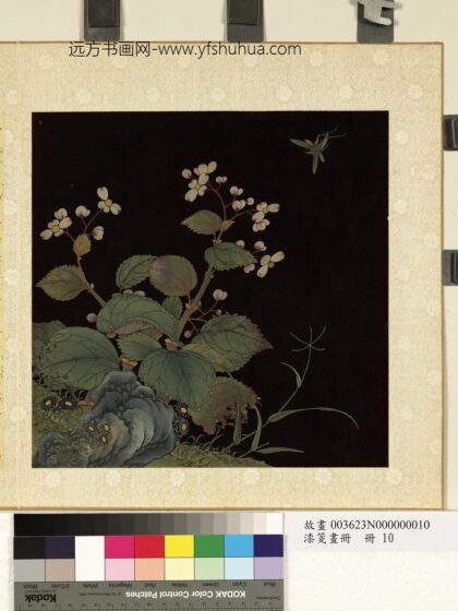 漆笺画册册 花与昆虫.jpg