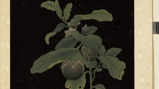 漆笺画册册 茄子.jpg