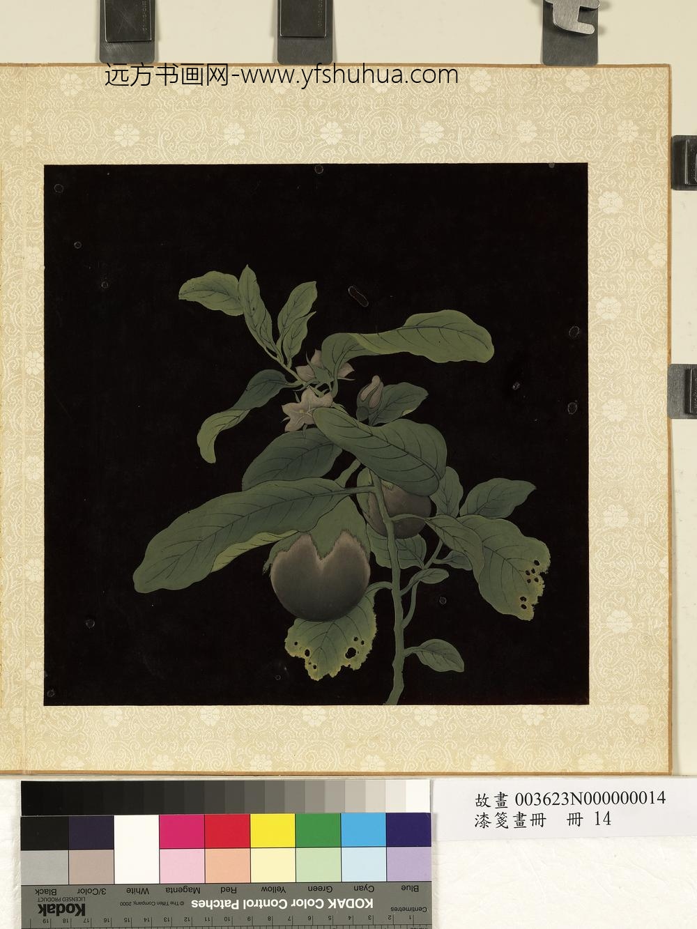 漆笺画册册-茄子