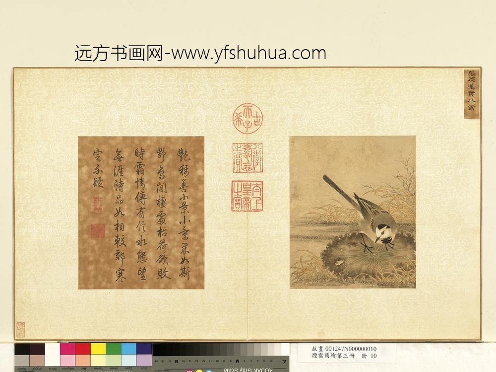 烟云集绘第三册册-宋张茂莲叶水禽