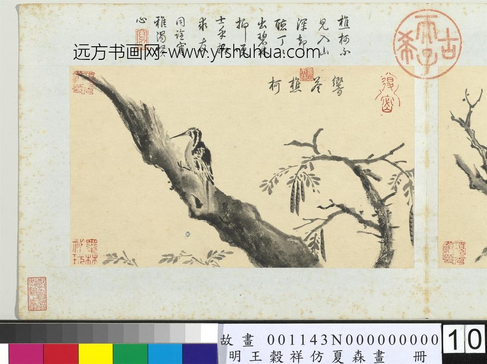 王谷祥仿夏森画册-响答樵柯