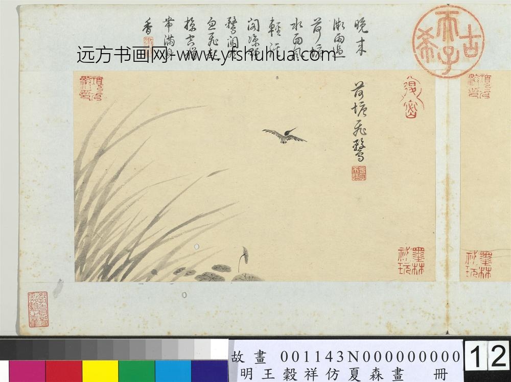 王谷祥仿夏森画册-荷塘飞鹜