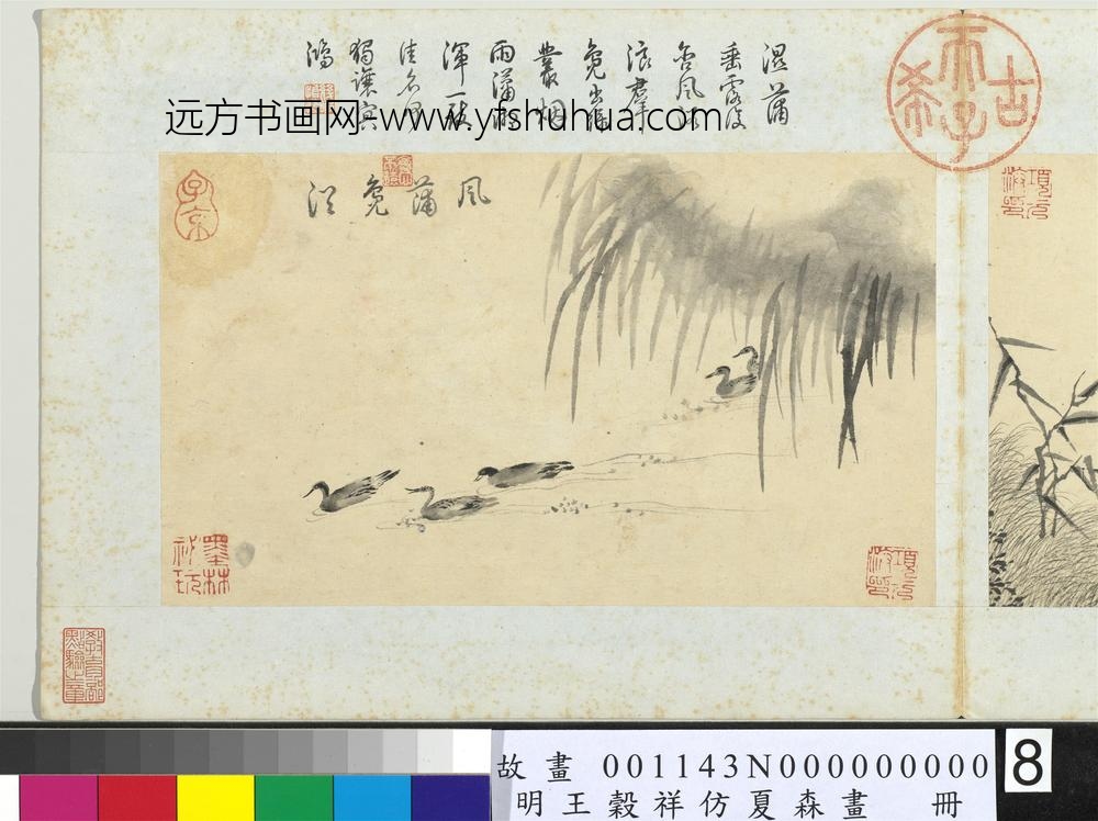 王谷祥仿夏森画册-风蒲凫浴