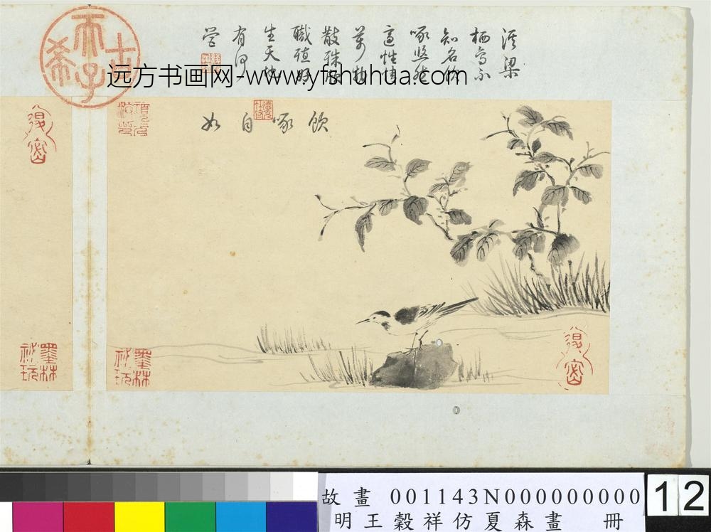 王谷祥仿夏森画册-饮啄自如