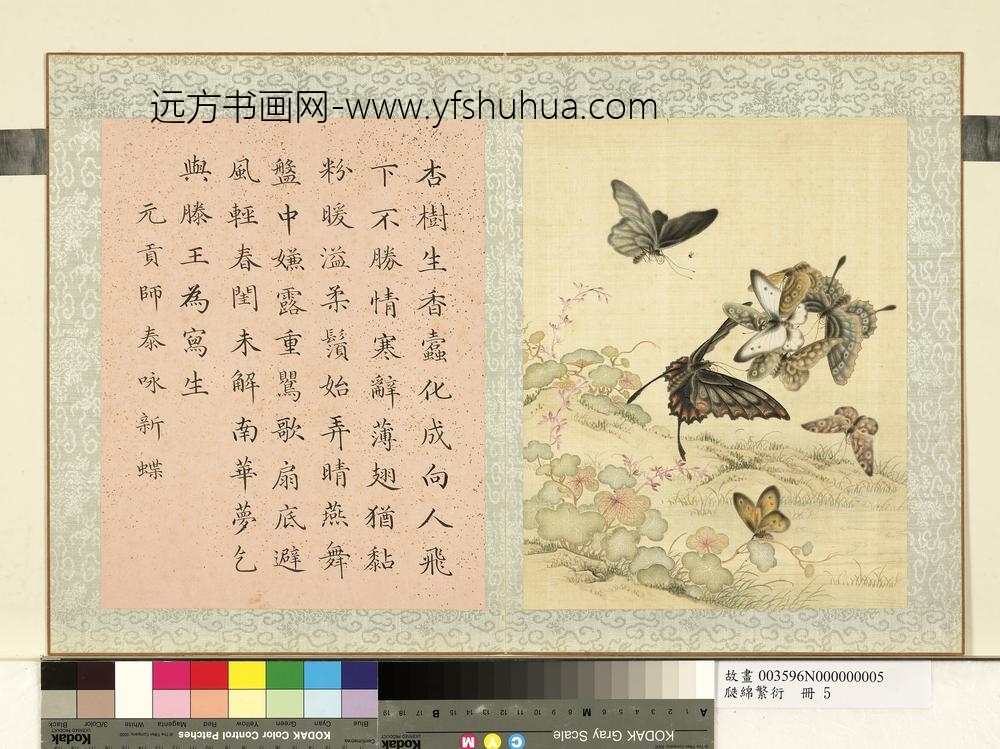 瓞绵繁衍册-画元贡师泰咏新蝶