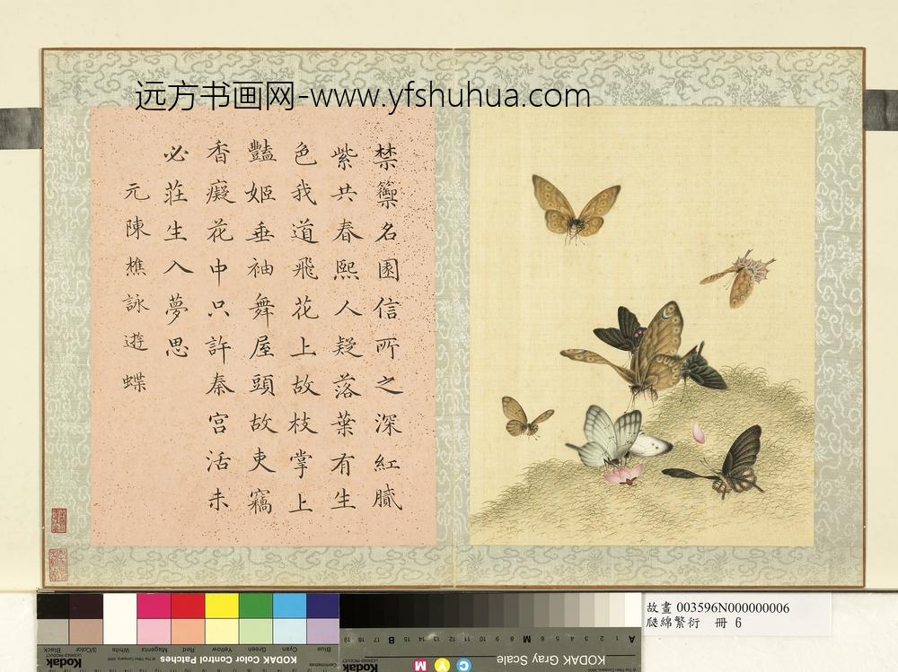 瓞绵繁衍册-画元陈樵咏游蝶