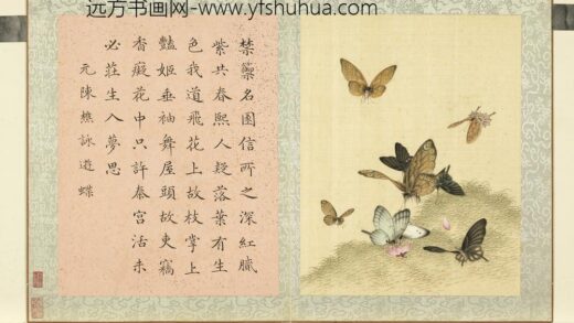 瓞绵繁衍册 画元陈樵咏游蝶.jpg