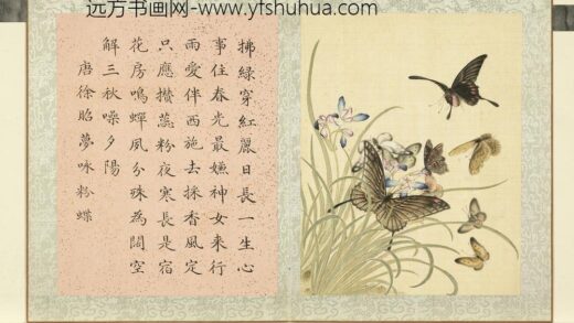 瓞绵繁衍册 画唐徐昭梦咏粉蝶.jpg